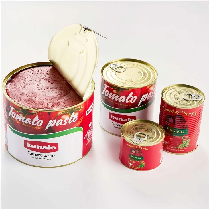 Easy Open Canned Tomato Paste suppliers